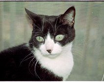 Image0010