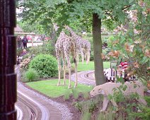 Image0261
