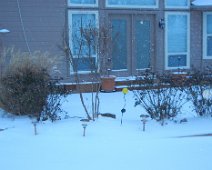 DSCN0394