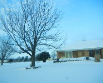 DSCN0542