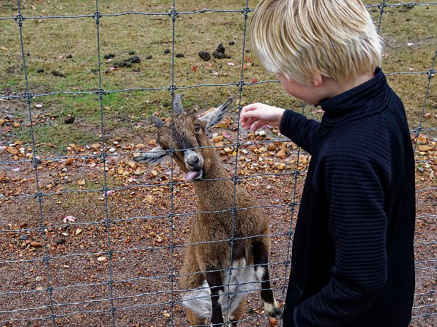 A Day in Arkansas I guided Krista, Michael and Sean on a day trip to Arkansas, which involved a petting zoo, Pioneer Pizza in Gentry AR...